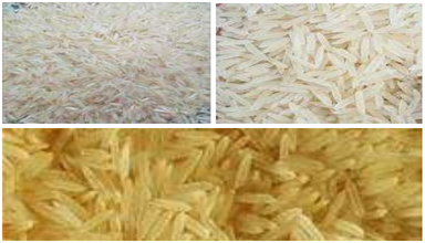 1401 Basmati Rice