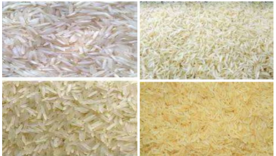 Pusa Basmati Rice