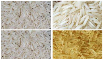 1718 Basmati Rice