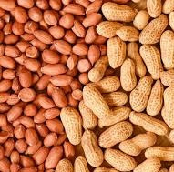 Peanut