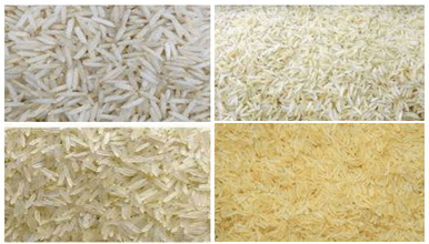 PR-11 Non-Basmati Rice